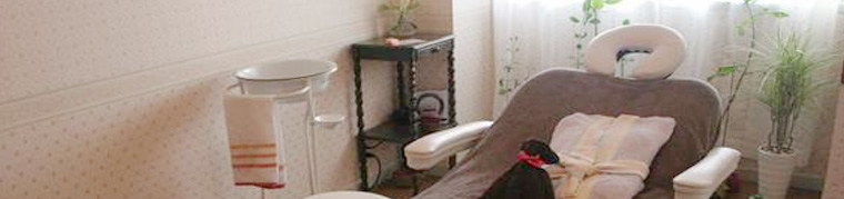 名古屋セレンディピティプロフィール